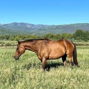 Meet your Posher, Bonnie